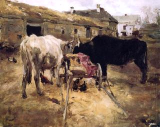 Bullocks (study)