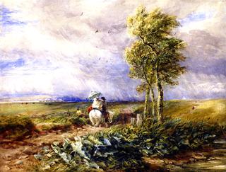 Sun, Wind and Rain