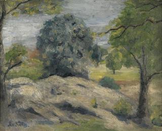 Woodland Landscape