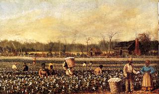 Cotton Picking in Front of the Quarters