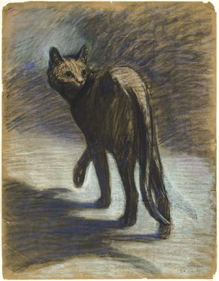 Prowling Cat