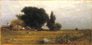 Trees and Meadow