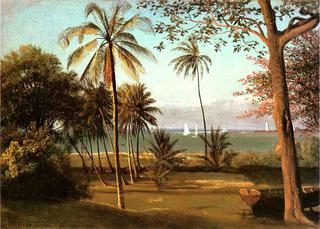 Florida Scene