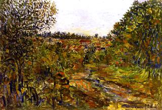 Montmagny Landscape