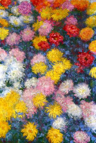 Chrysanthemums