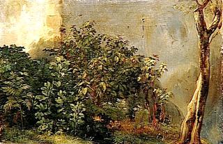 植物习作