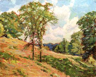 Summer Hillside