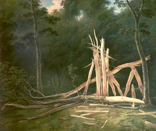 An Oak Tree Struck by Lightning in Dunham Park