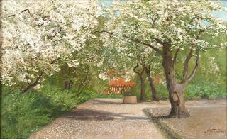 Orchard in Blossom