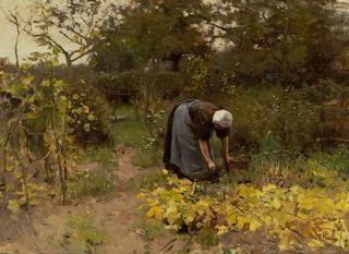 In the Vegetable Garden