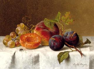 Still Life with Plums, Grapes and Apricots