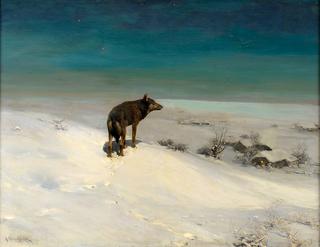 The Wolf