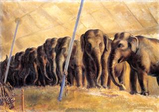 Elephants