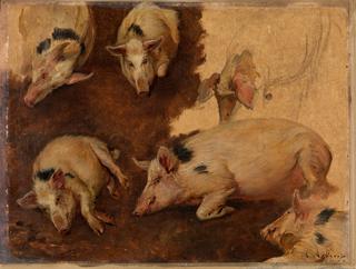Study of Six Pigs
