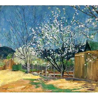 Spring Blossoms