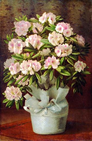 Flowers in a Basket