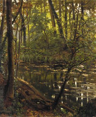 Rivère en soue bois