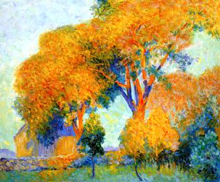 Sunlit Trees