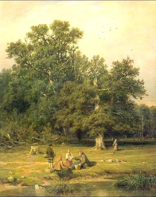Mushroom Picking
