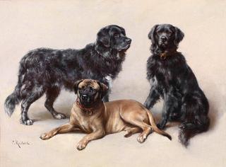 Trio