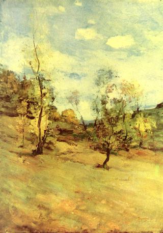 Landscape