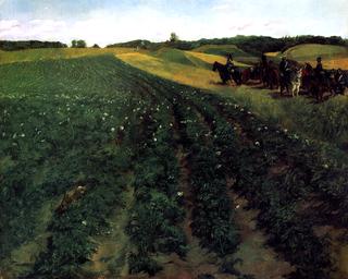 Potato Farm in Wessling