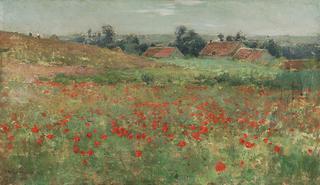 Poppy Field