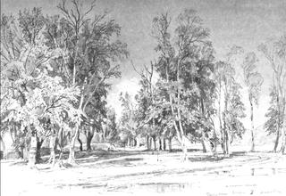 Zelenin's Grove
