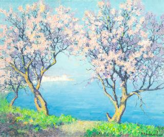 Cherry Blossoms