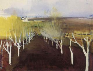 Orchard
