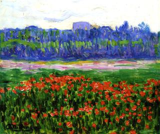 Fields of Poppies
