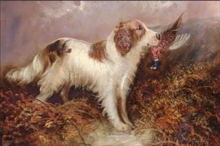 Retrieving the Pheasant