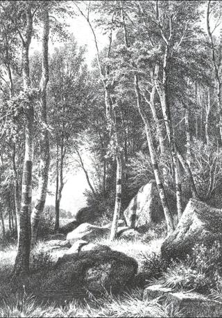 On the Edge of a Birch Grove, Valaam
