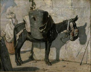 Donkey in the Desert