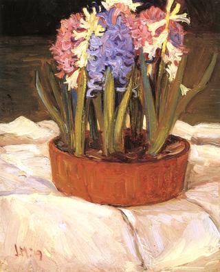 Hyacinths