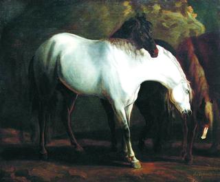 Horses