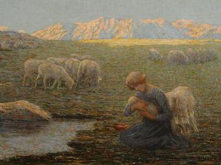 The sick sheep