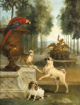 Three Dogs and a Parrot in the Park