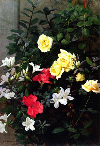 Roses and Azaleas