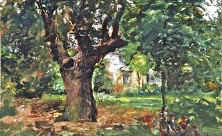 Tree Study