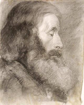 Head Study