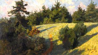 Forest and Field