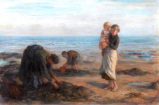 The Bait Gatherers