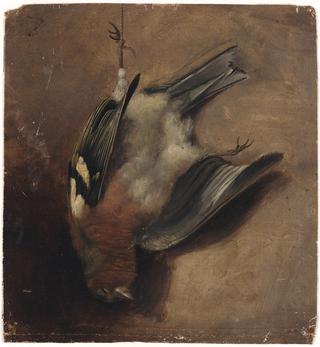 Dead Bird