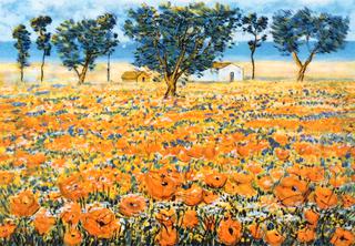 Poppy Field