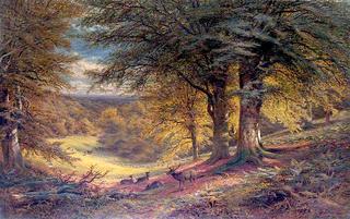 Under the Beeches