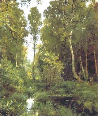 Overgrown pond on edge of forest, Siverskaya