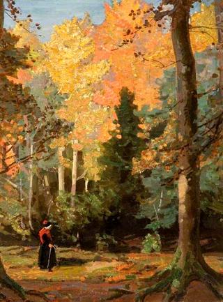 A Woodland Clearing