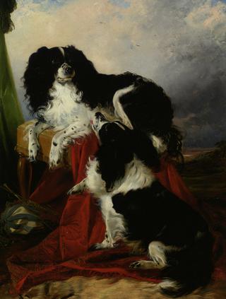 King Charles Spaniels