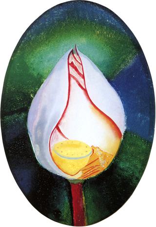 Lotus Flower